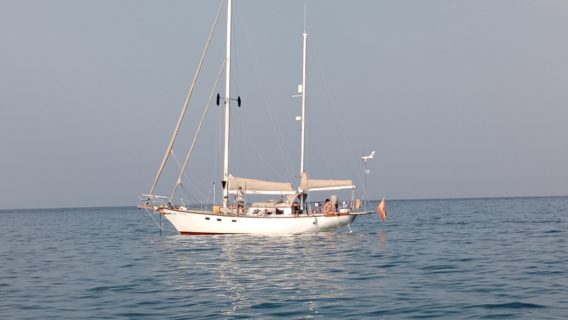 VICTORIA Belliure Endurance 35