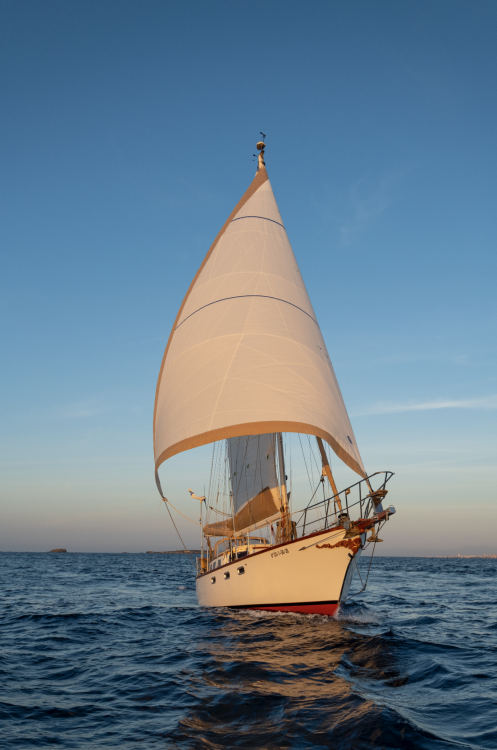 Rent a boat Alicante Belliure Endurance 35 - 1975