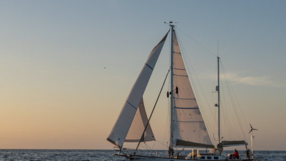 VICTORIA Belliure Endurance 35